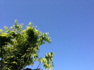 今日の空